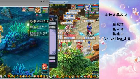 接命魂之玉 人环 宠环