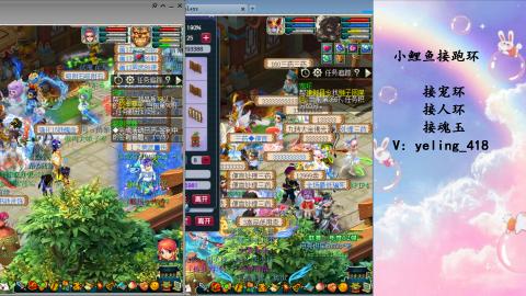 接命魂之玉 人环 宠环