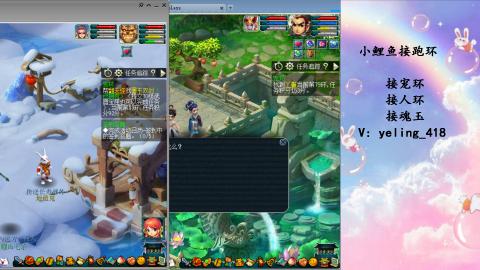 接命魂之玉 人环 宠环