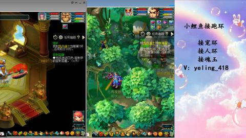 接命魂之玉 人环 宠环