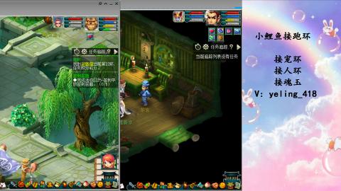 接命魂之玉 人环 宠环