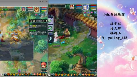 接命魂之玉 人环 宠环