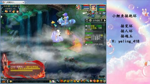 接命魂之玉 人环 宠环