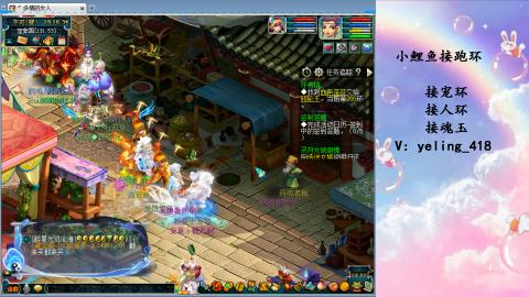 接命魂之玉 人环 宠环