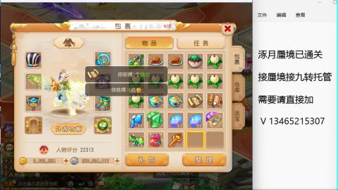 接九转蜃境托管~