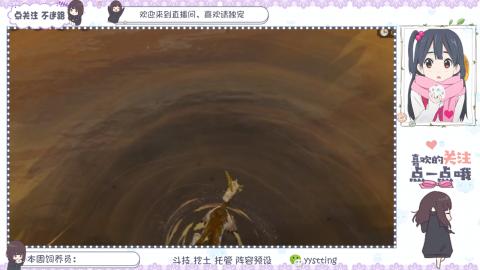 托管 调号 滴滴