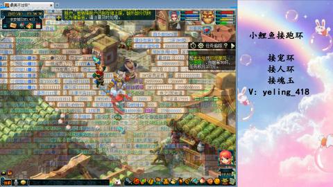 接命魂之玉 人环 宠环