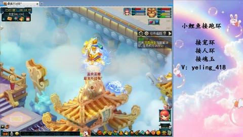 接命魂之玉 人环 宠环