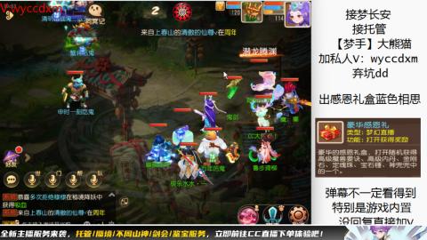 接大海龟活动最后俩天