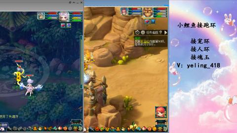 接命魂之玉 人环 宠环