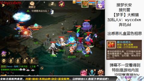 接大海龟活动最后俩天