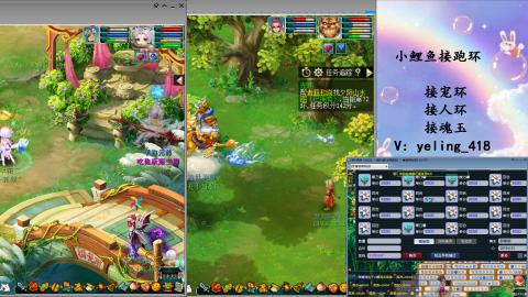 接命魂之玉 人环 宠环