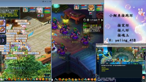 接命魂之玉 人环 宠环