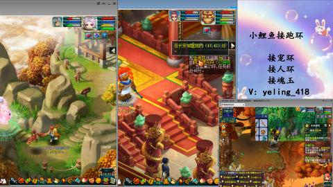 接命魂之玉 人环 宠环