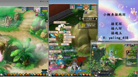 接命魂之玉 人环 宠环