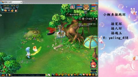 接命魂之玉 人环 宠环