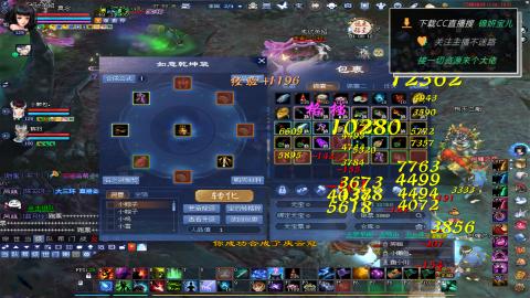 新人主播多多关注