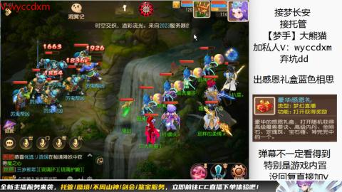 接大海龟活动最后俩天