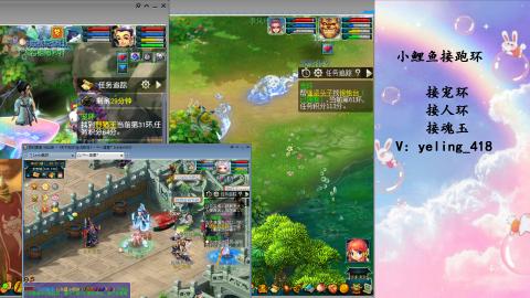 接命魂之玉 人环 宠环