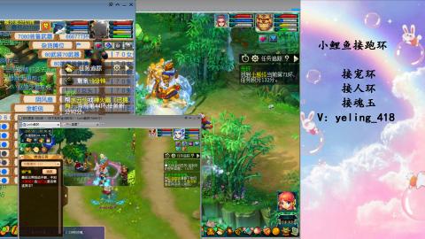 接命魂之玉 人环 宠环