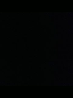 别翻了~就我了~