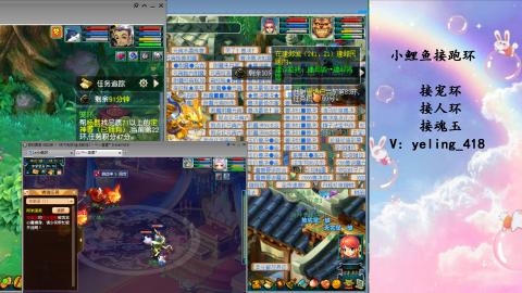 接命魂之玉 人环 宠环