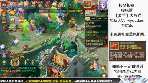 接大海龟活动最后俩天