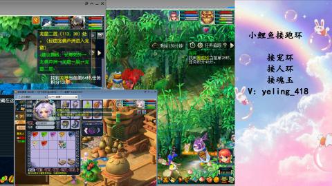 接命魂之玉 人环 宠环