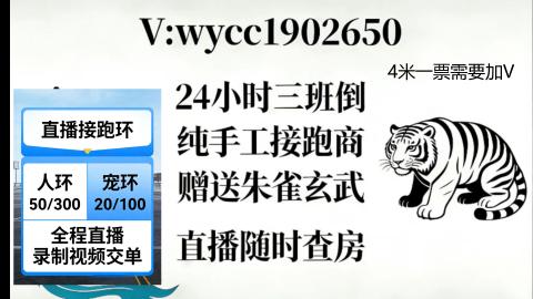 接畅玩跑商跑环