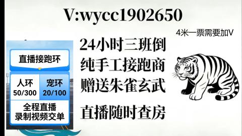 接畅玩跑商跑环