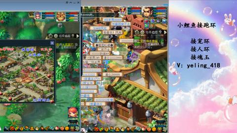 接命魂之玉 人环 宠环