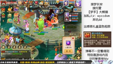 接大海龟活动最后俩天