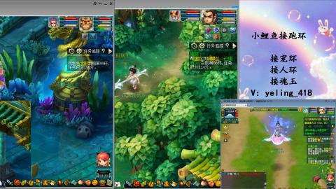 接命魂之玉 人环 宠环