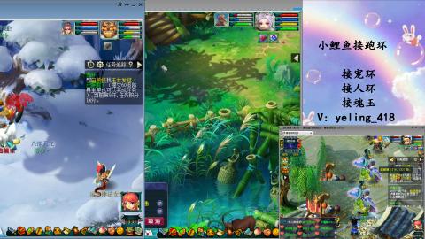 接命魂之玉 人环 宠环