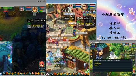 接命魂之玉 人环 宠环