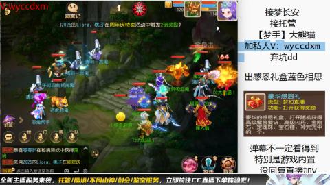 接大海龟活动最后俩天