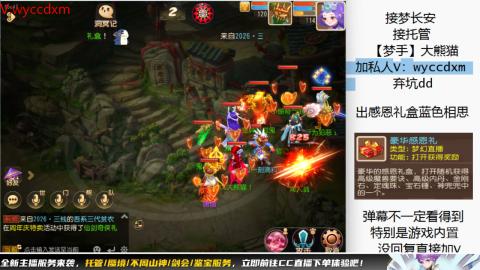 接大海龟活动最后俩天