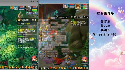 接命魂之玉 人环 宠环