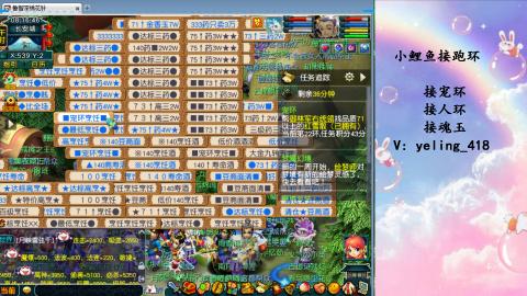 接命魂之玉 人环 宠环