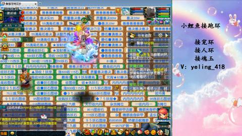 接命魂之玉 人环 宠环