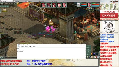 大力撸怪.游戏咨询.专业陪聊.