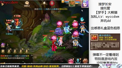 接大海龟活动最后俩天