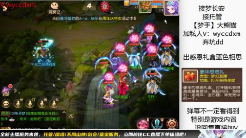 接大海龟活动最后俩天