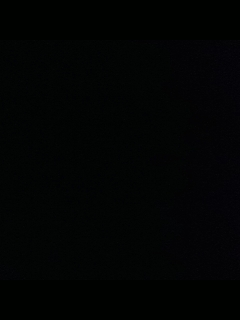 请叫我枪不黑的直播