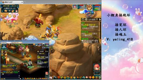 接命魂之玉 人环 宠环