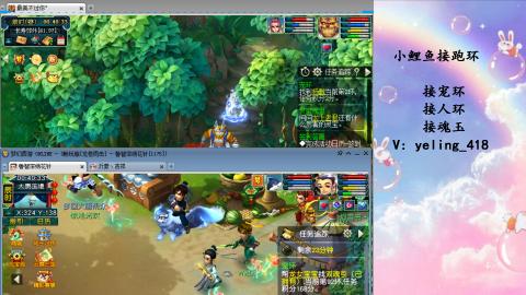 接命魂之玉 人环 宠环