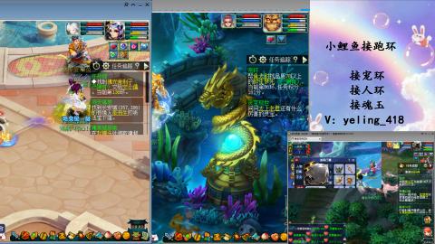 接命魂之玉 人环 宠环