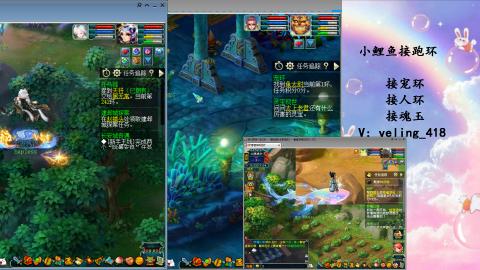 接命魂之玉 人环 宠环