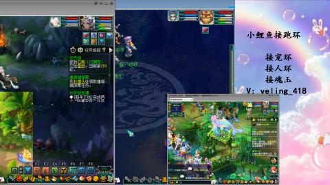 接命魂之玉 人环 宠环