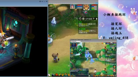 接命魂之玉 人环 宠环